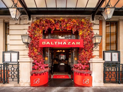 Balthazar-1-1.jpg